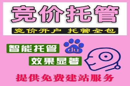 网络推广秘籍：竞价排名成功案例集锦